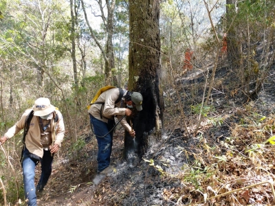Investigan causas del incendio en Chalatenango