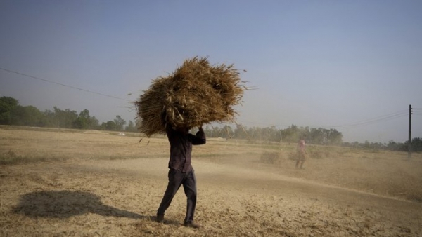 Ola de calor extremo en la India y Pakistán amenaza a la población